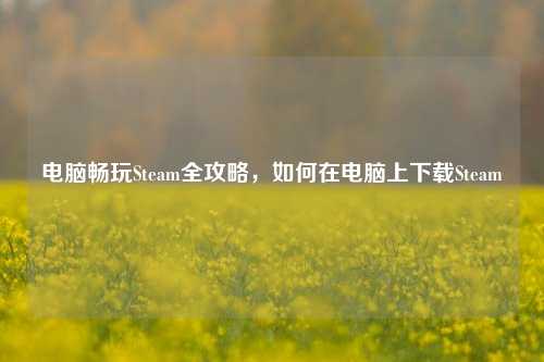 电脑畅玩Steam全攻略，如何在电脑上下载Steam