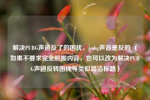 解决PUBG声道反了的困扰,pubg声音是反的 (如果不要求完全照搬内容,也可以改为解决PUBG声道反转困扰等类似简洁标题)