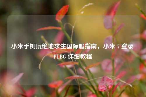 小米手机玩绝地求生国际服指南，小米 7 登录 PUBG 详细教程
