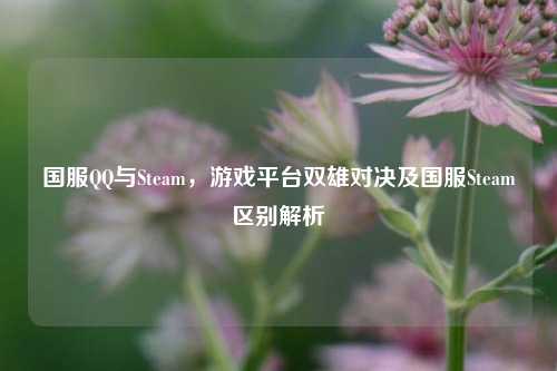 国服QQ与Steam，游戏平台双雄对决及国服Steam区别解析