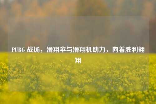 PUBG 战场，滑翔伞与滑翔机助力，向着胜利翱翔