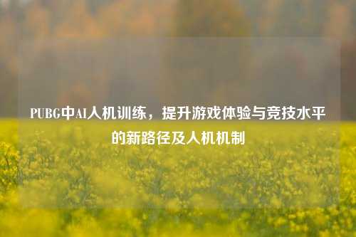 PUBG中AI人机训练，提升游戏体验与竞技水平的新路径及人机机制