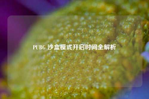 PUBG 沙盒模式开启时间全解析