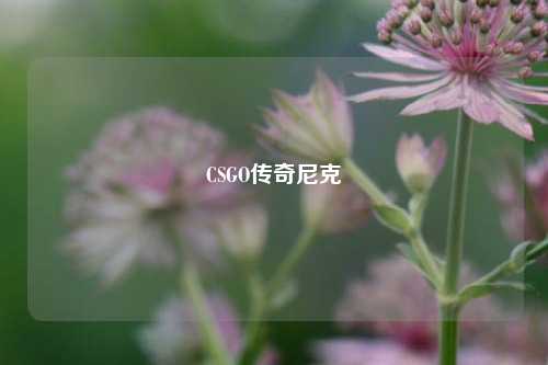 CSGO传奇尼克