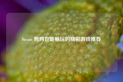Steam 断网也能畅玩的精彩游戏推荐
