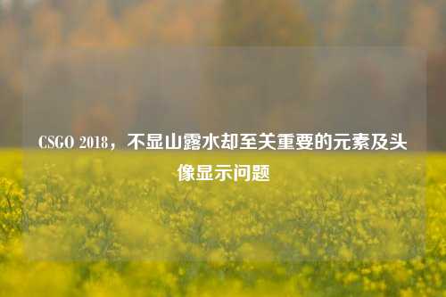 CSGO 2018,不显山露水却至关重要的元素及头像显示问题