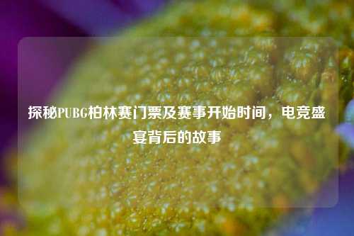 探秘PUBG柏林赛门票及赛事开始时间，电竞盛宴背后的故事