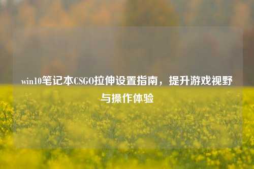 win10笔记本CSGO拉伸设置指南,提升游戏视野与操作体验
