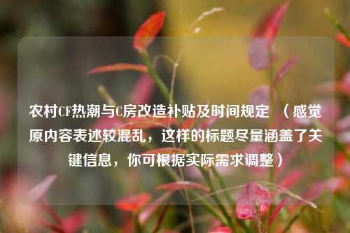农村CF热潮与C房改造补贴及时间规定  （感觉原内容表述较混乱，这样的标题尽量涵盖了关键信息，你可根据实际需求调整）