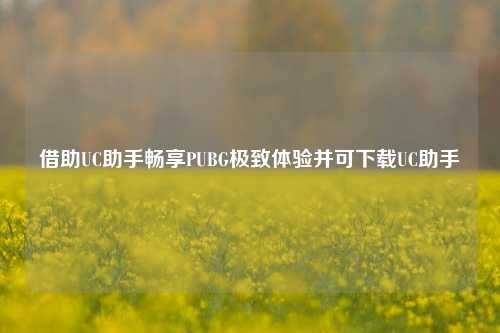 借助UC助手畅享PUBG极致体验并可下载UC助手