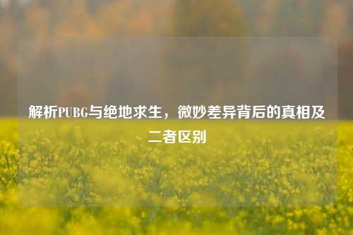 解析PUBG与绝地求生，微妙差异背后的真相及二者区别