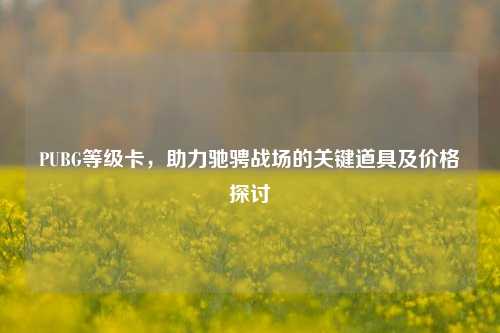 PUBG等级卡，助力驰骋战场的关键道具及价格探讨