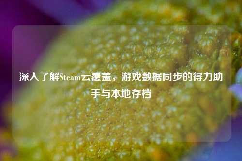 深入了解Steam云覆盖，游戏数据同步的得力助手与本地存档