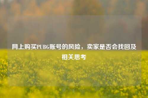 网上购买PUBG账号的风险，卖家是否会找回及相关思考