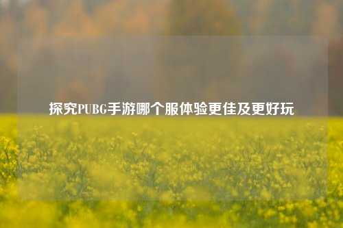 探究PUBG手游哪个服体验更佳及更好玩