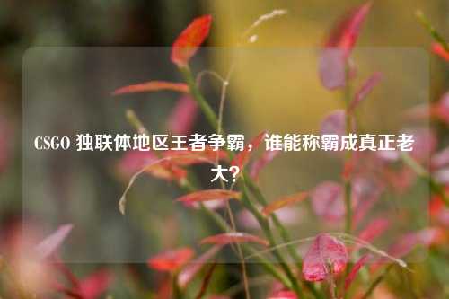 CSGO 独联体地区王者争霸,谁能称霸成真正老大?