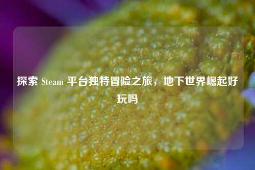 探索 Steam 平台独特冒险之旅，地下世界崛起好玩吗