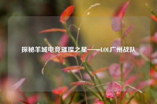 探秘羊城电竞璀璨之星——LOL广州战队