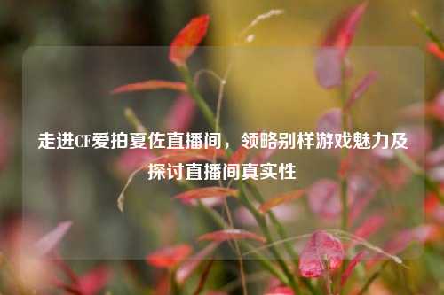 走进CF爱拍夏佐直播间，领略别样游戏魅力及探讨直播间真实性