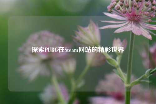 探索PUBG在Steam网站的精彩世界