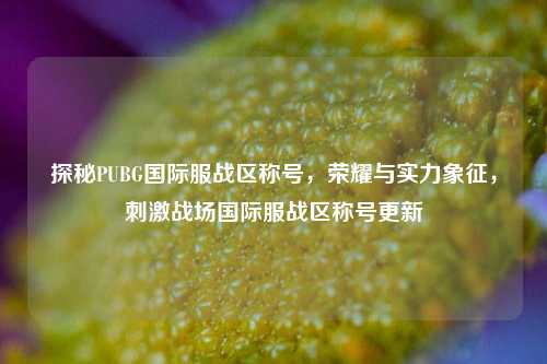 探秘PUBG国际服战区称号，荣耀与实力象征，刺激战场国际服战区称号更新