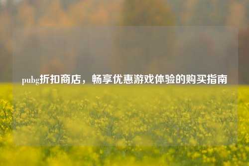 pubg折扣商店，畅享优惠游戏体验的购买指南
