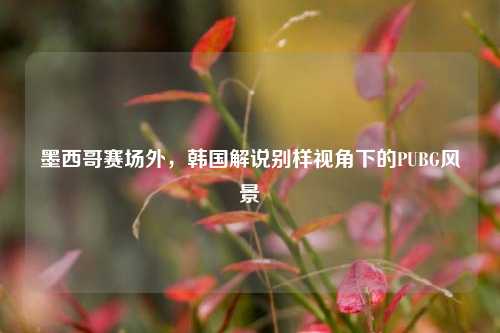 墨西哥赛场外,韩国解说别样视角下的PUBG风景