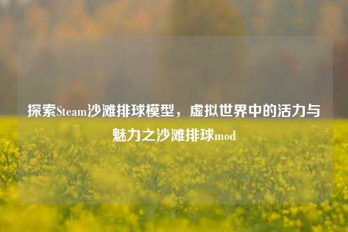 探索Steam沙滩排球模型，虚拟世界中的活力与魅力之沙滩排球mod