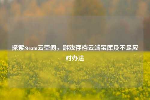 探索Steam云空间,游戏存档云端宝库及不足应对办法