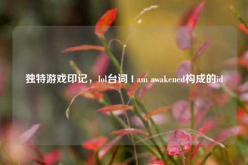 独特游戏印记，lol台词 I am awakened构成的id