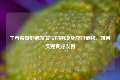 王者荣耀钟馗发育慢的困境及应对策略，如何实现良好发育