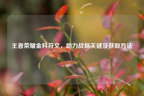 王者荣耀金科符文，助力战局关键及获取方法