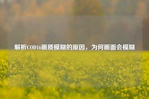 解析COD16画质模糊的原因，为何画面会模糊
