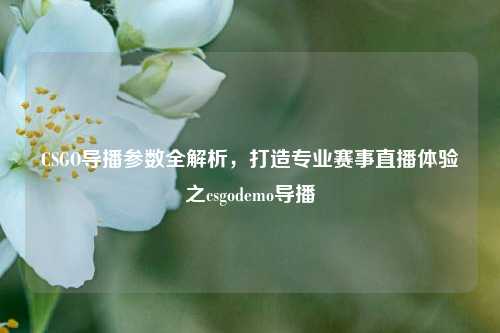 CSGO导播参数全解析,打造专业赛事直播体验之csgodemo导播