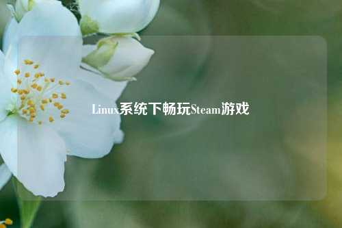 Linux系统下畅玩Steam游戏