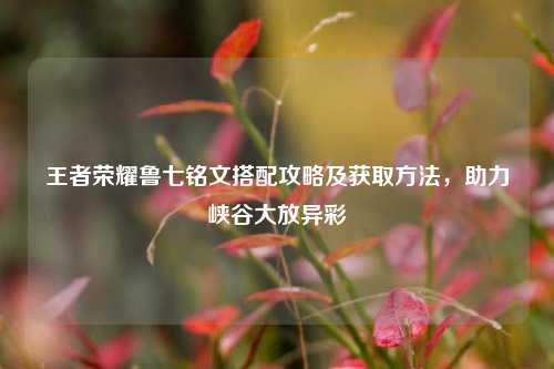 王者荣耀鲁七铭文搭配攻略及获取方法，助力峡谷大放异彩