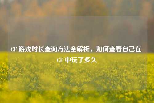 CF 游戏时长查询方法全解析，如何查看自己在 CF 中玩了多久