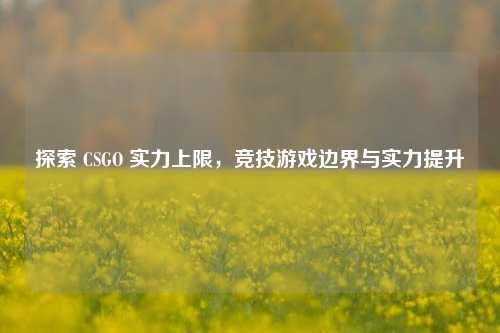 探索 CSGO 实力上限，竞技游戏边界与实力提升