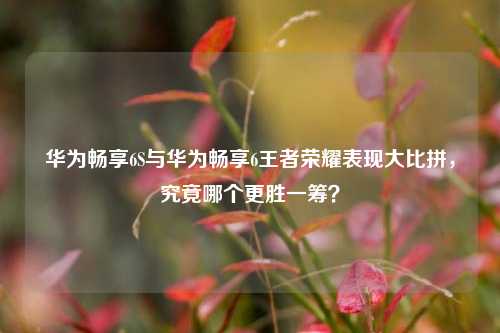 华为畅享6S与华为畅享6王者荣耀表现大比拼，究竟哪个更胜一筹？