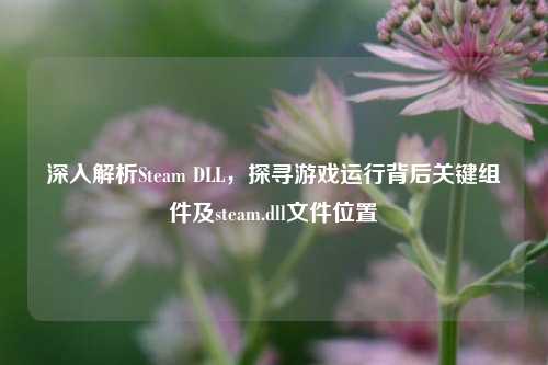 深入解析Steam DLL，探寻游戏运行背后关键组件及steam.dll文件位置