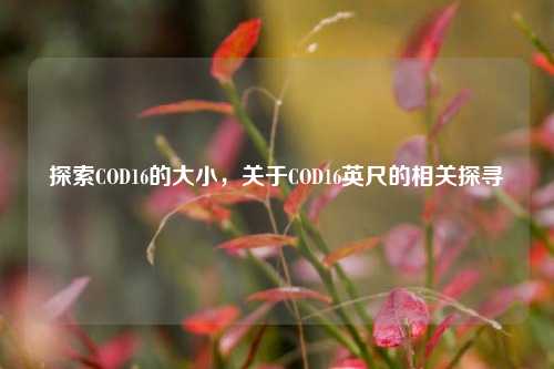 探索COD16的大小，关于COD16英尺的相关探寻