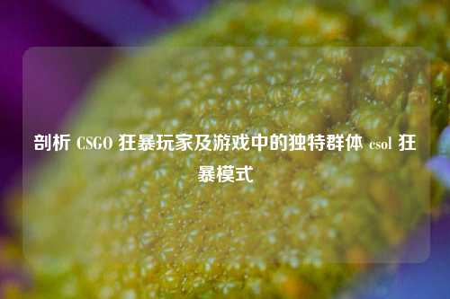 剖析 CSGO 狂暴玩家及游戏中的独特群体 csol 狂暴模式