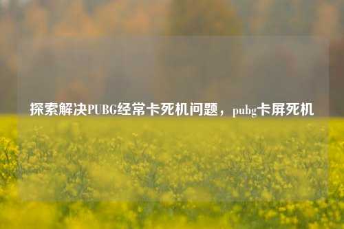 探索解决PUBG经常卡死机问题，pubg卡屏死机
