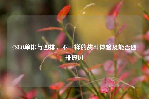 CSGO单排与四排，不一样的战斗体验及能否四排探讨