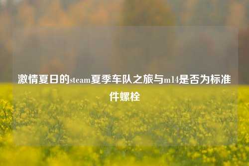 激情夏日的steam夏季车队之旅与m14是否为标准件螺栓