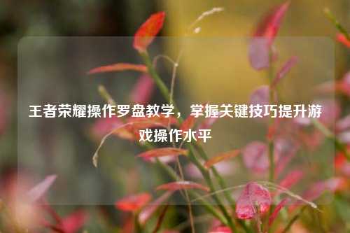王者荣耀操作罗盘教学，掌握关键技巧提升游戏操作水平