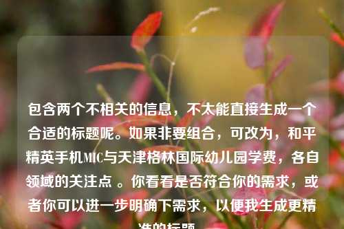 包含两个不相关的信息，不太能直接生成一个合适的标题呢。如果非要组合，可改为，和平精英手机MIC与天津格林国际幼儿园学费，各自领域的关注点 。你看看是否符合你的需求，或者你可以进一步明确下需求，以便我生成更精准的标题 。