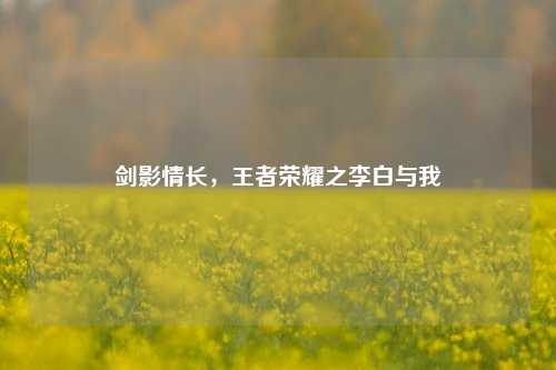 剑影情长，王者荣耀之李白与我