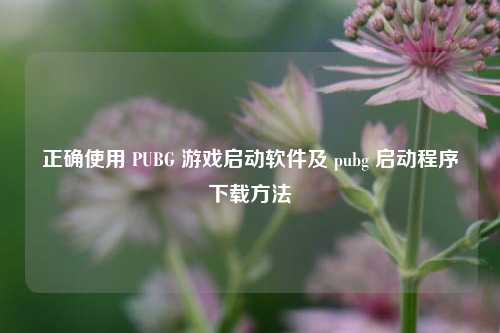 正确使用 PUBG 游戏启动软件及 pubg 启动程序下载方法