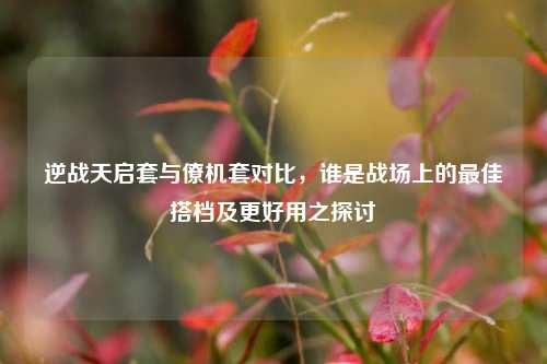 逆战天启套与僚机套对比，谁是战场上的最佳搭档及更好用之探讨